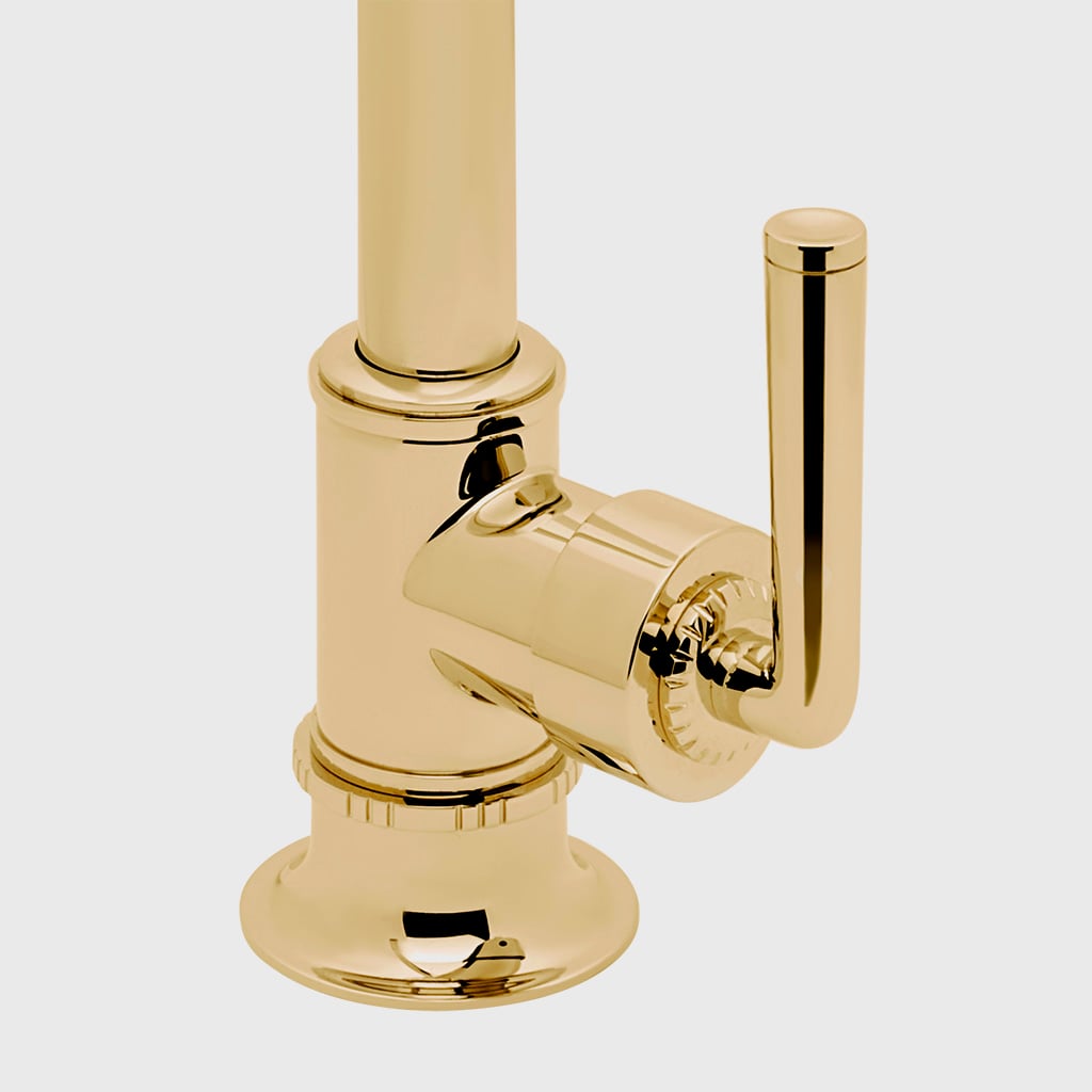 Henry Chronos Mid-Size Gooseneck Integrated Pull Spray Kitchen