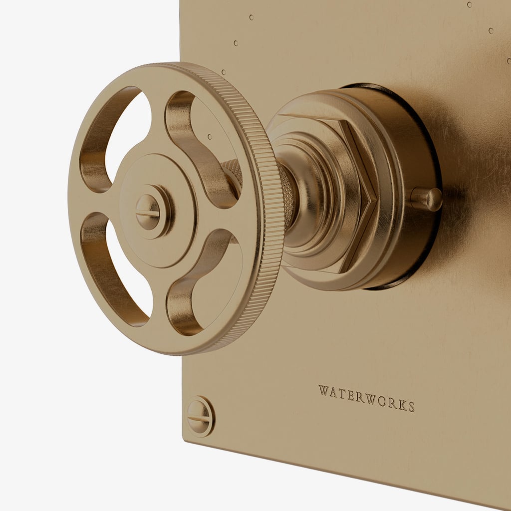 Discover R.W. Atlas Thermostatic Control Valve Trim with Metal
